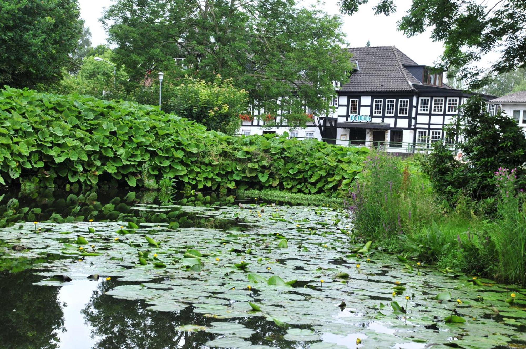 Akzent Hotel Zur Wasserburg - Hotel Garni Bed & Breakfast Harpstedt Exterior photo